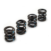 Andrews High Lift Valve Springs Valve Springs Andrews