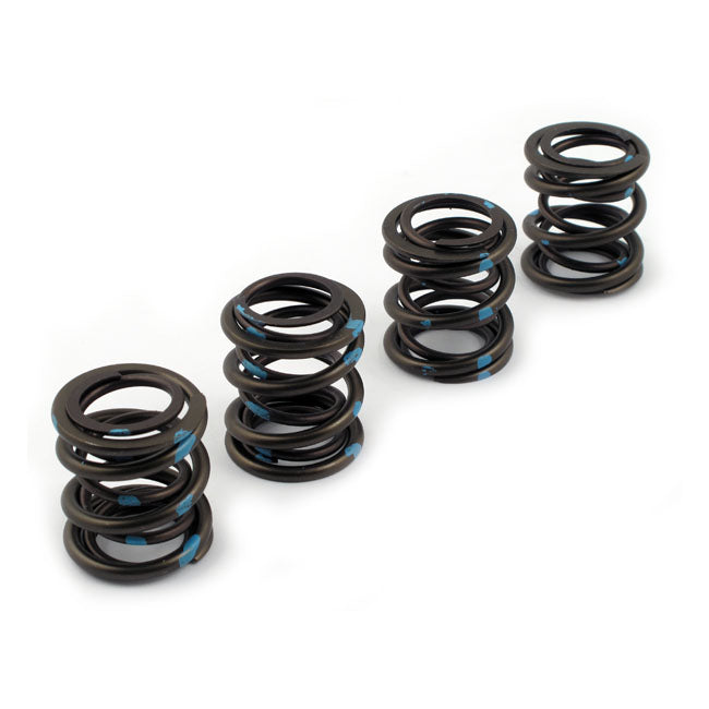 Andrews High Lift Valve Springs Valve Springs Andrews