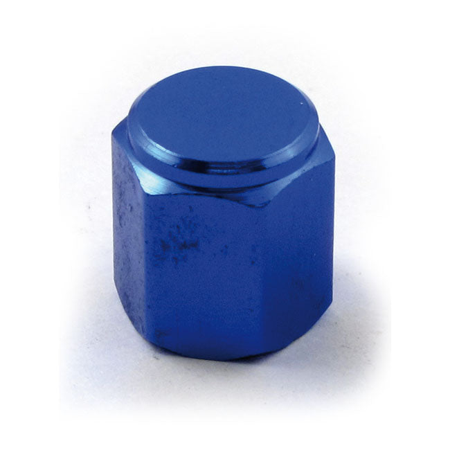 Valve Stem Cap 19 Tire Valve Stems And Caps Mcs