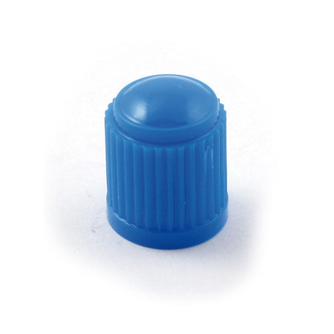 Valve Stem Cap 23 Tire Valve Stems And Caps Mcs