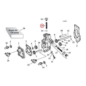 Spring, Check Valve Oil Pump Parts Mcs