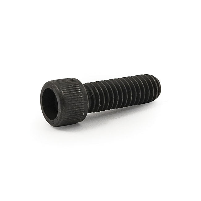 Lisle, Optional Hollow Tip Lisle