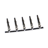 NAMZ, AMP Plug (male) pins AMP PINS Namz