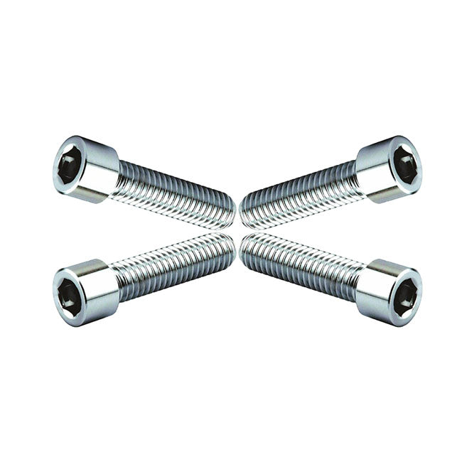 Wild1, chrome plated allen screws Wild1