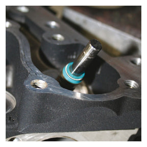 Feuling, Viton valve seal kit VALVE GUIDES GASKETS AND SEALS Feuling