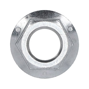 Nut, Pivot Shaft Swingarm Swingarms Assy Mcs