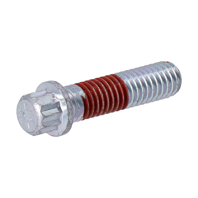 Bolt, Axle Adjuster Swingarms Assy Mcs