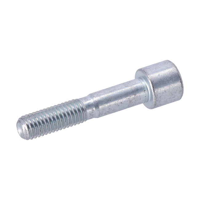 Lower Bolt, Shock Absorber Swingarms Assy Mcs