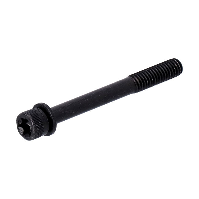 Lock Bolt, Pivot Shaft Swingarms Assy Mcs