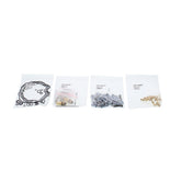 All Balls carburetor rebuild kit CARBURETORS REBUILD KITS All Balls
