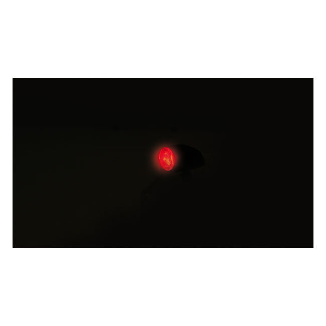 Proton 3 Led Taillight. Ece Appr. Taillight/Turn Signals Combo Mcs