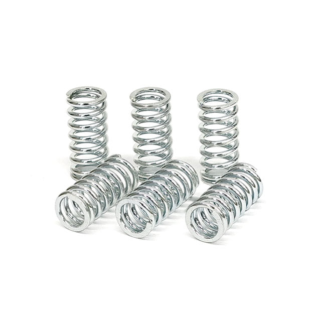 TRW clutch spring kit CLUTCH SPRINGS Trw