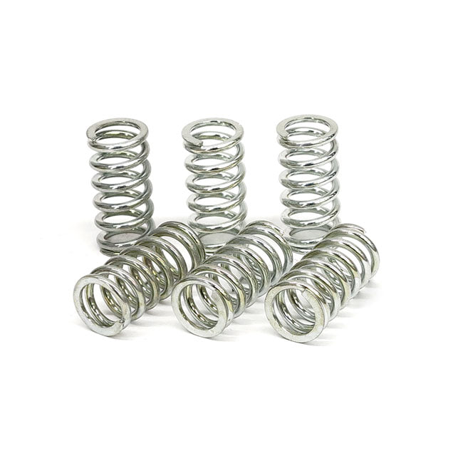 TRW clutch spring kit CLUTCH SPRINGS Trw