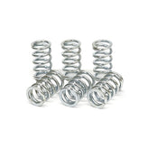 TRW clutch spring kit CLUTCH SPRINGS Trw