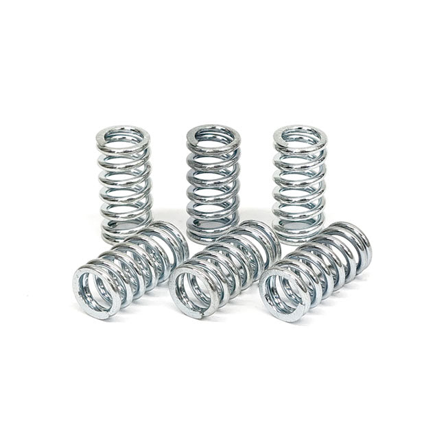TRW clutch spring kit CLUTCH SPRINGS Trw
