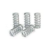 TRW clutch spring kit CLUTCH SPRINGS Trw