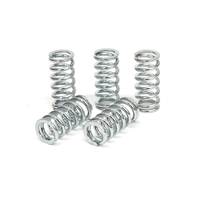 TRW clutch spring kit CLUTCH SPRINGS Trw