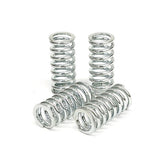 TRW clutch spring kit CLUTCH SPRINGS Trw