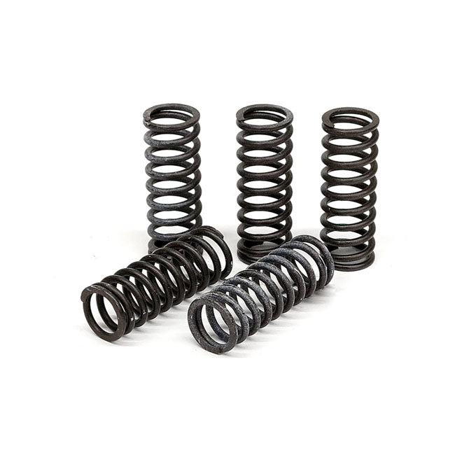 TRW clutch spring kit CLUTCH SPRINGS Trw