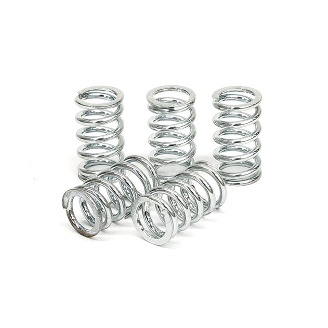 TRW clutch spring kit CLUTCH SPRINGS Trw