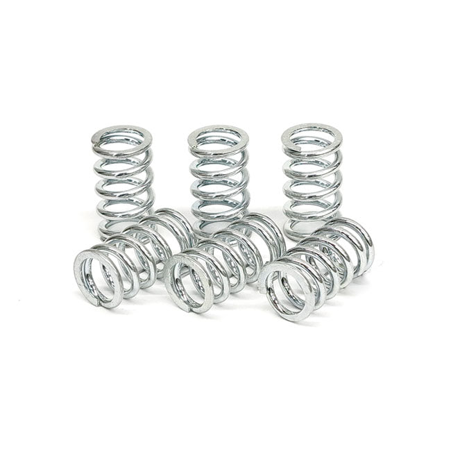 TRW clutch spring kit CLUTCH SPRINGS Trw
