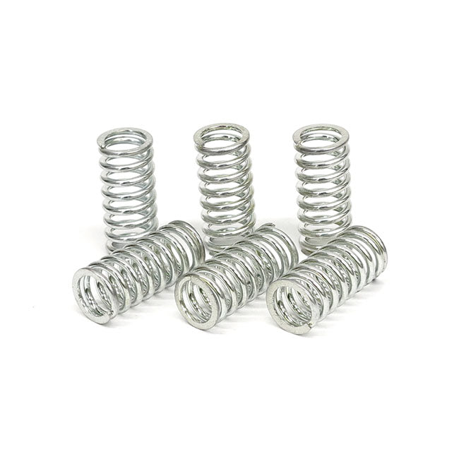 TRW clutch spring kit CLUTCH SPRINGS Trw