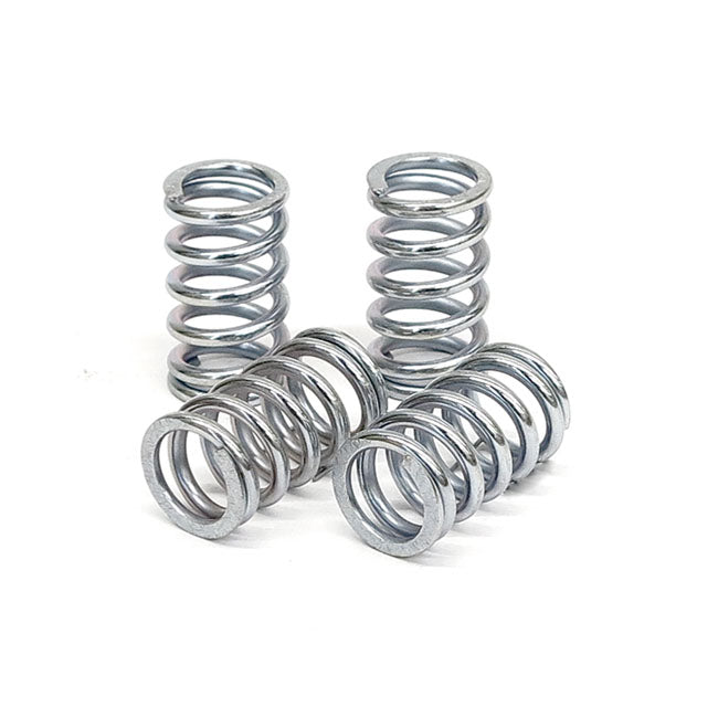 TRW clutch spring kit CLUTCH SPRINGS Trw