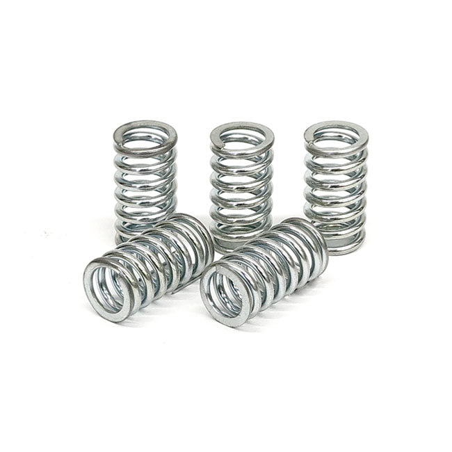TRW clutch spring kit CLUTCH SPRINGS Trw