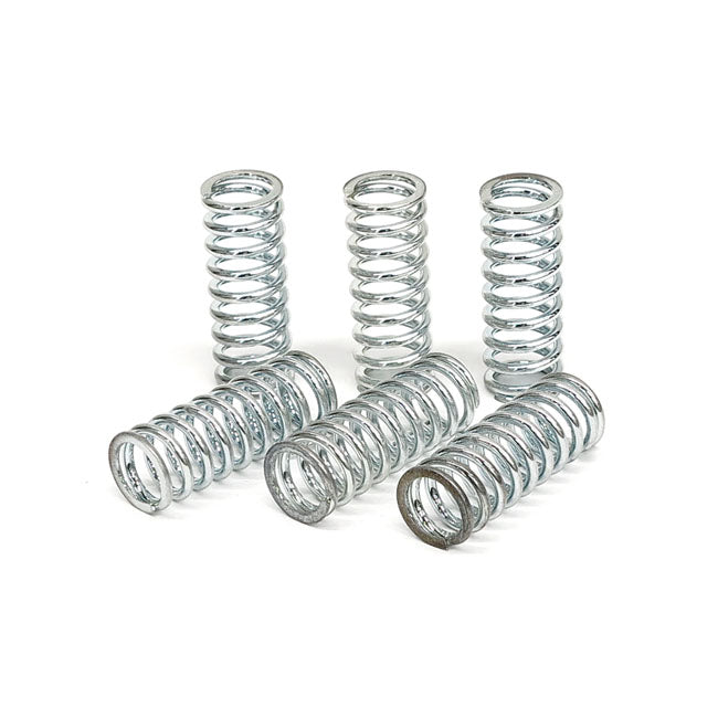 TRW clutch spring kit CLUTCH SPRINGS Trw