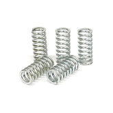 TRW clutch spring kit CLUTCH SPRINGS Trw