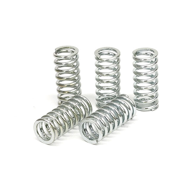 TRW clutch spring kit CLUTCH SPRINGS Trw