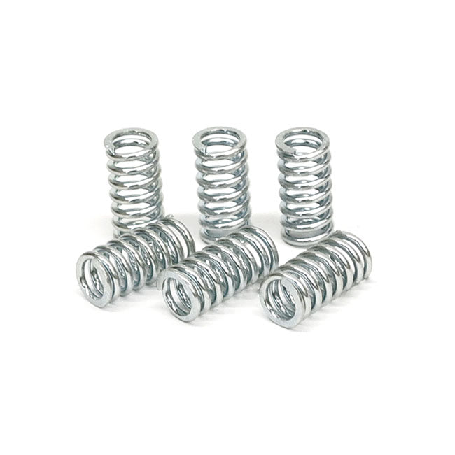 TRW clutch spring kit CLUTCH SPRINGS Trw