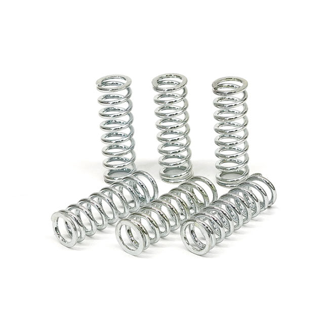 TRW clutch spring kit CLUTCH SPRINGS Trw