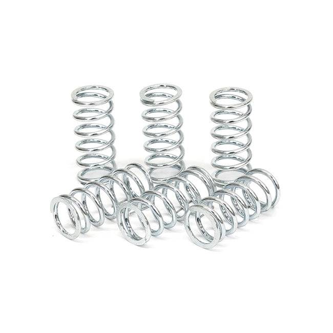 TRW clutch spring kit CLUTCH SPRINGS Trw