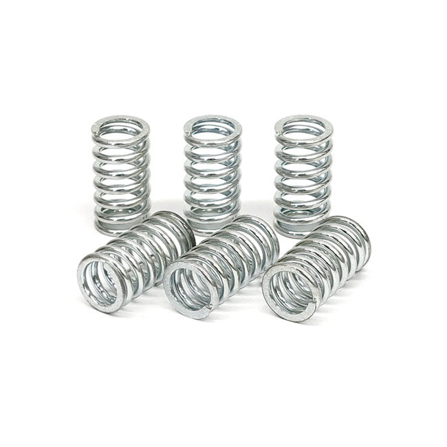 TRW clutch spring kit CLUTCH SPRINGS Trw