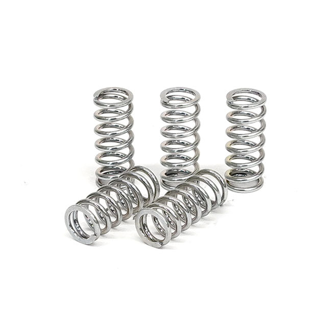 TRW clutch spring kit CLUTCH SPRINGS Trw