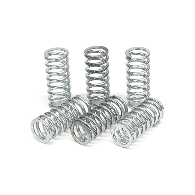 TRW clutch spring kit CLUTCH SPRINGS Trw