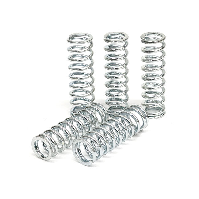 TRW clutch spring kit CLUTCH SPRINGS Trw