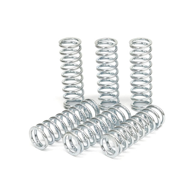 TRW clutch spring kit CLUTCH SPRINGS Trw