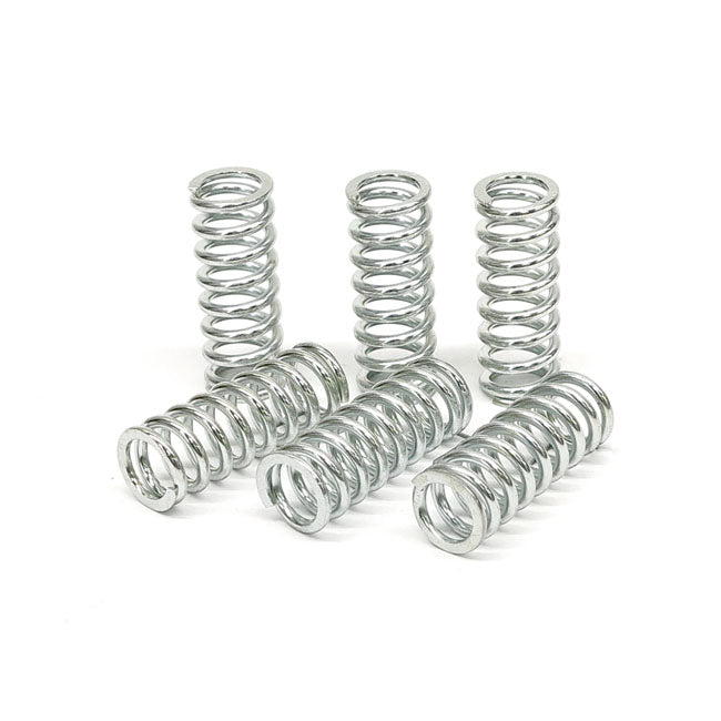TRW clutch spring kit CLUTCH SPRINGS Trw