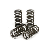 TRW clutch spring kit CLUTCH SPRINGS Trw