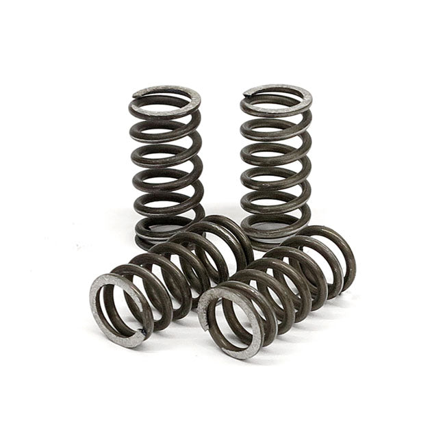 TRW clutch spring kit CLUTCH SPRINGS Trw