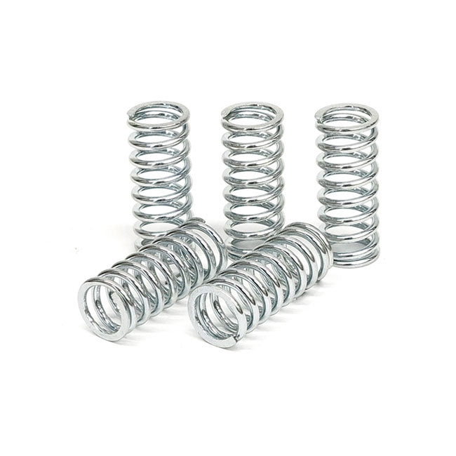 TRW clutch spring kit CLUTCH SPRINGS Trw