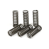 TRW clutch spring kit CLUTCH SPRINGS Trw
