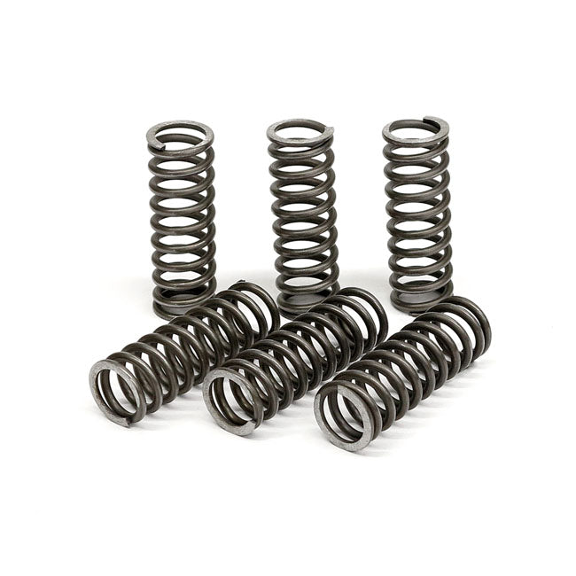 TRW clutch spring kit CLUTCH SPRINGS Trw