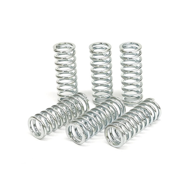 TRW clutch spring kit CLUTCH SPRINGS Trw