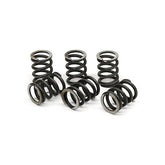 TRW clutch spring kit CLUTCH SPRINGS Trw