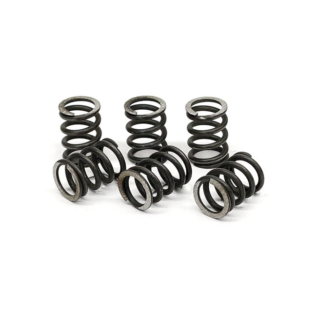 TRW clutch spring kit CLUTCH SPRINGS Trw