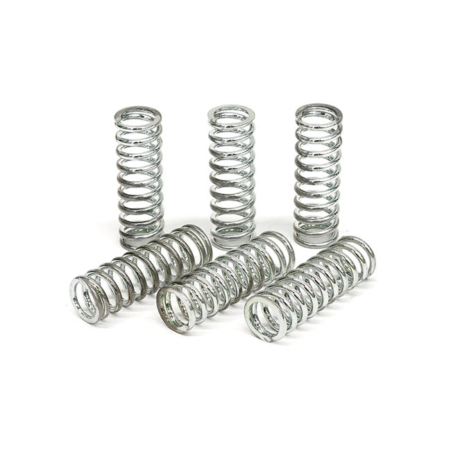TRW clutch spring kit CLUTCH SPRINGS Trw