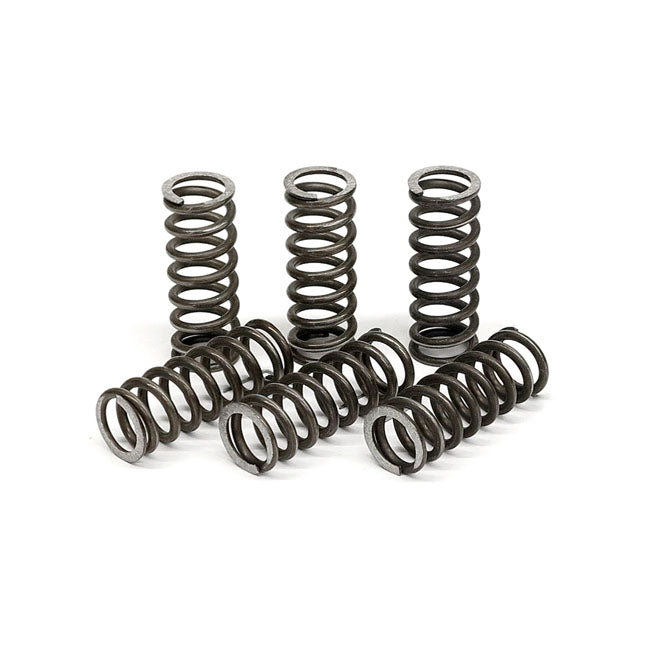TRW clutch spring kit CLUTCH SPRINGS Trw
